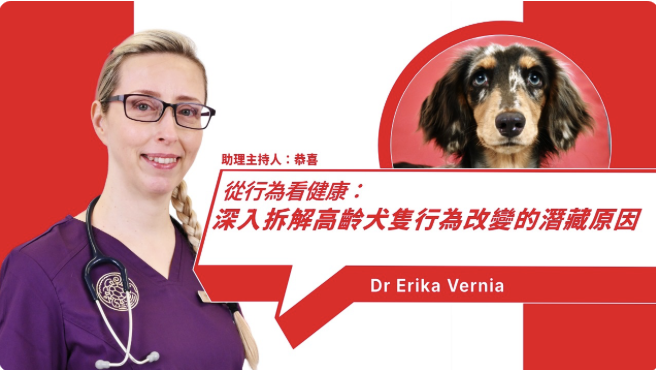 Understanding Behavioral Changes in Senior Dogs: Management, Warning Signs, and Disease Prevention